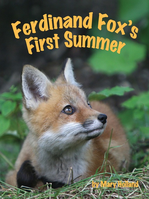Title details for Ferdinand Fox's First Summer by Mary Holland - Available